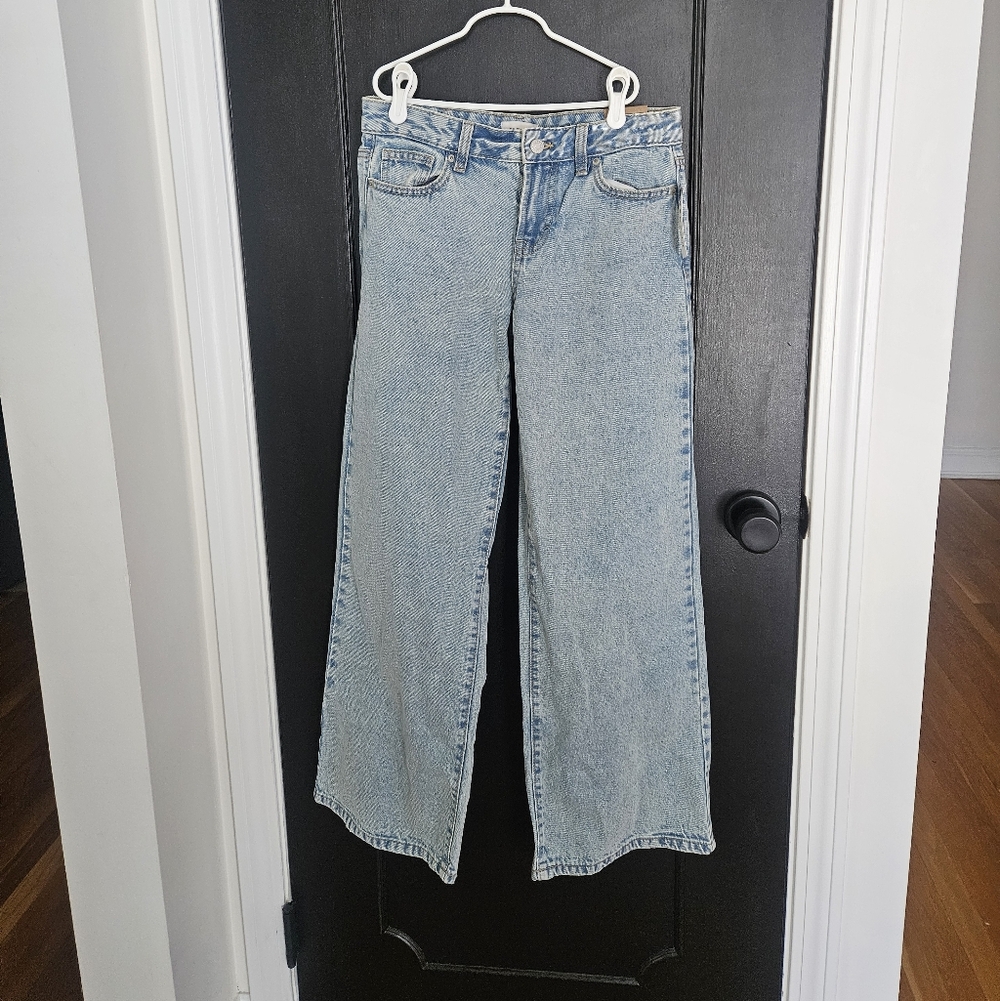 NWT Pacsun Low Rise Baggy Wide Leg Jeans